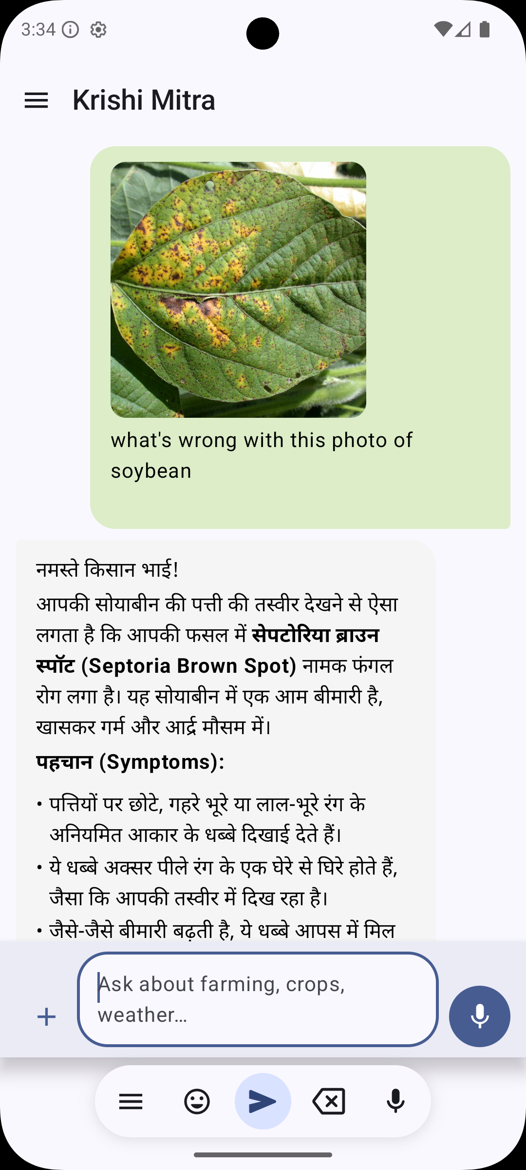 Crop Disease Diagnosis Screenshot